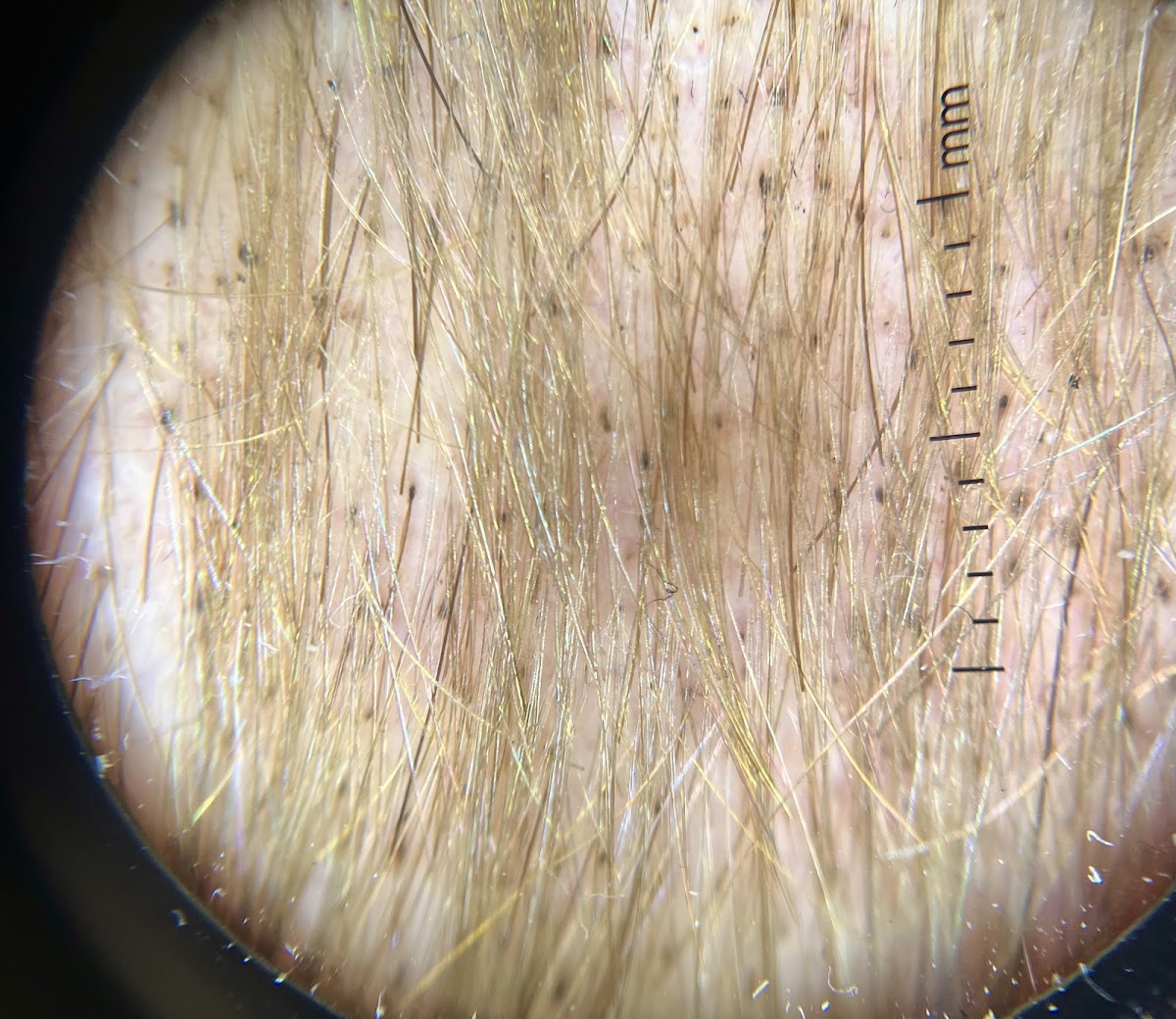 Dra. Heliana Botello Dermatóloga photo 3