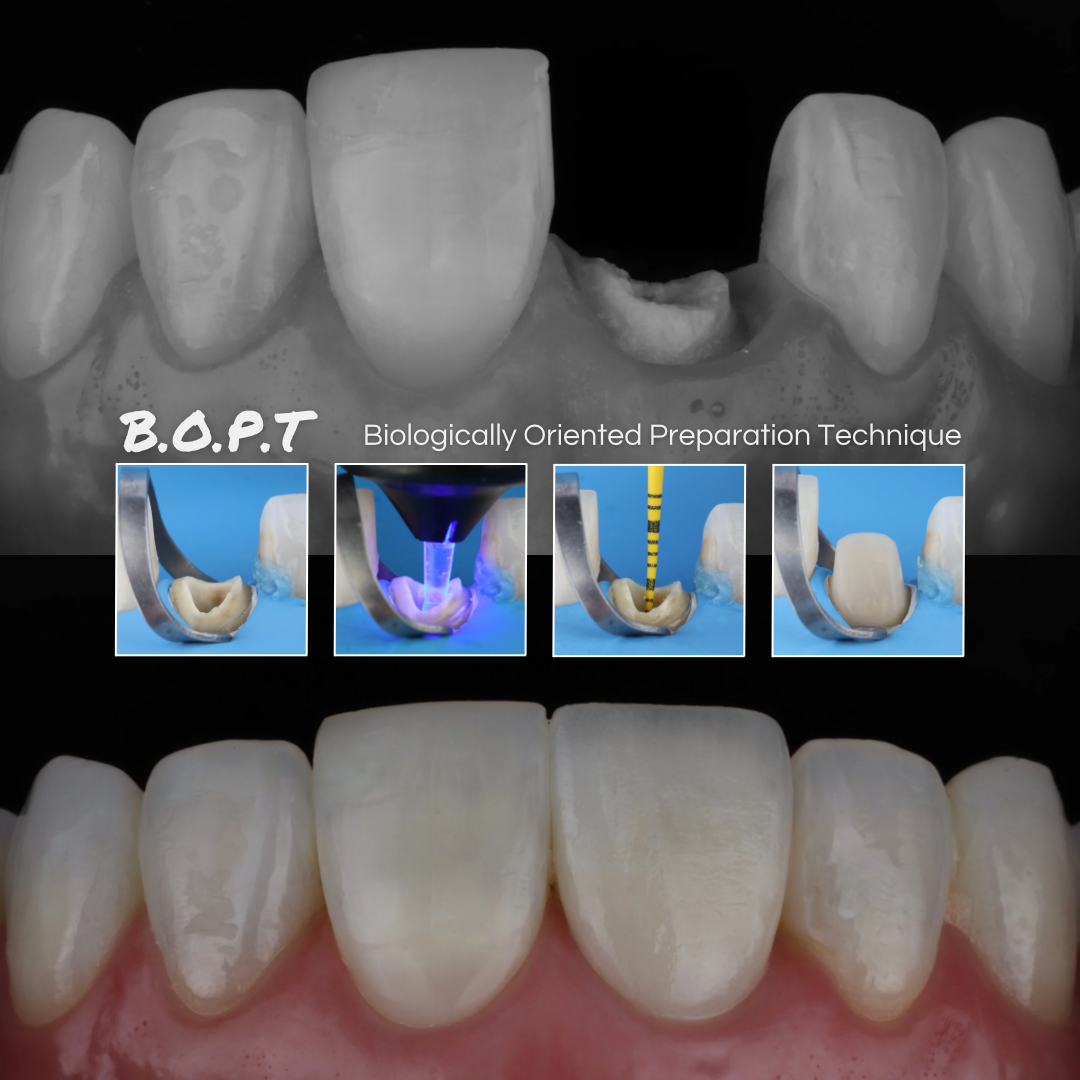 Dra. Sofía Sánchez - Estética y Rehabilitación Oral photo 2
