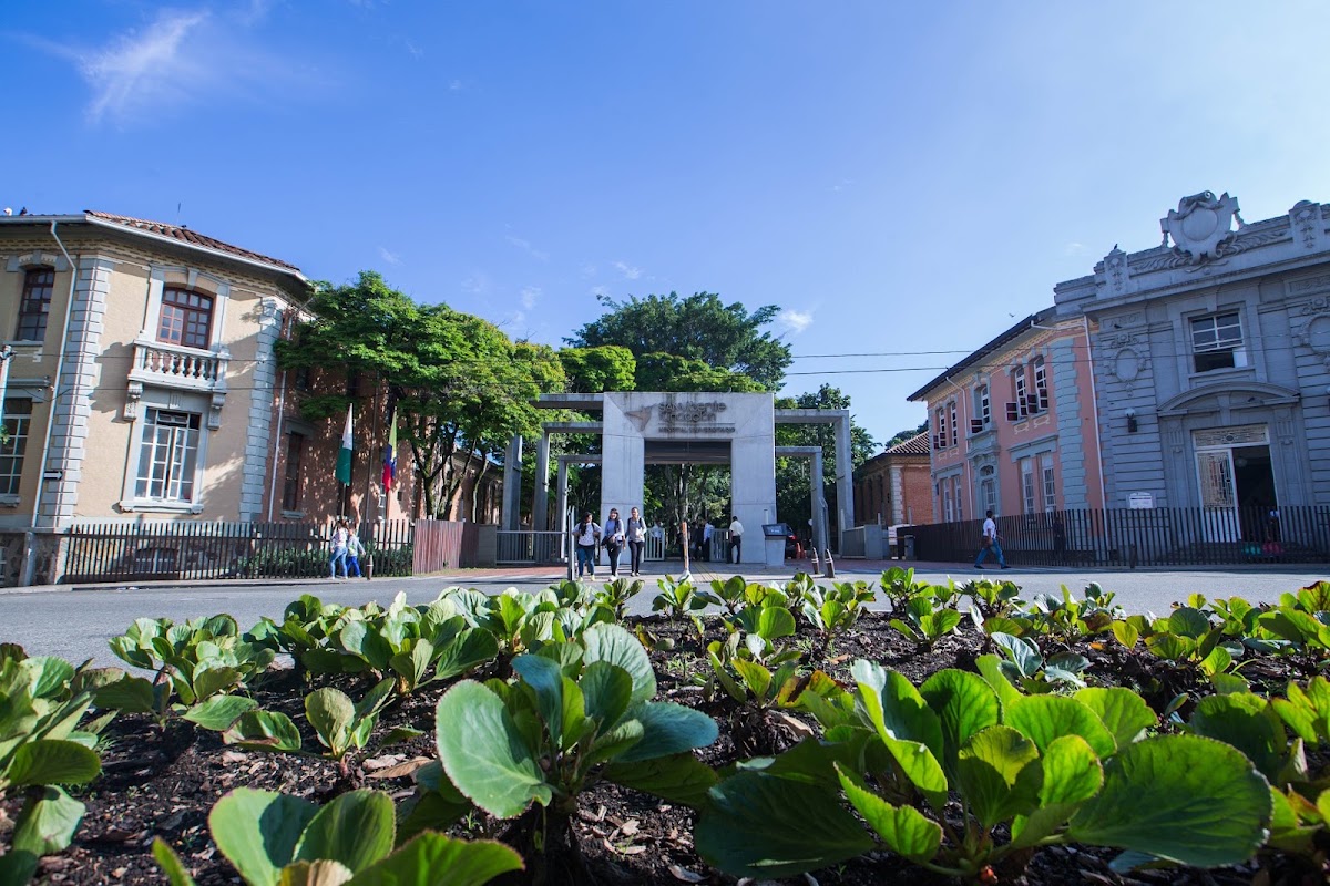 San Vicente Fundacion